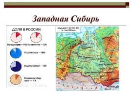 Природные ресурсы сибири проект по географии